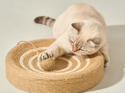 Natural Sisal Rope Cat Scratching Pad with Dangling Ball – Round Scratcher Toy
