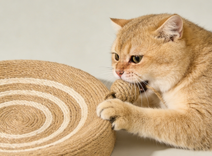 Natural Sisal Rope Cat Scratching Pad with Dangling Ball – Round Scratcher Toy